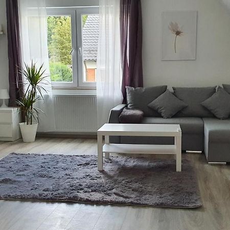 Bonn/Koenigswinter Ferienwohnung Buitenkant foto