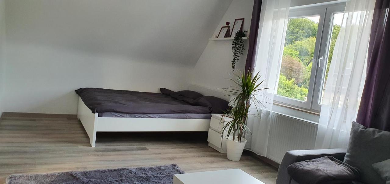 Bonn/Koenigswinter Ferienwohnung Buitenkant foto