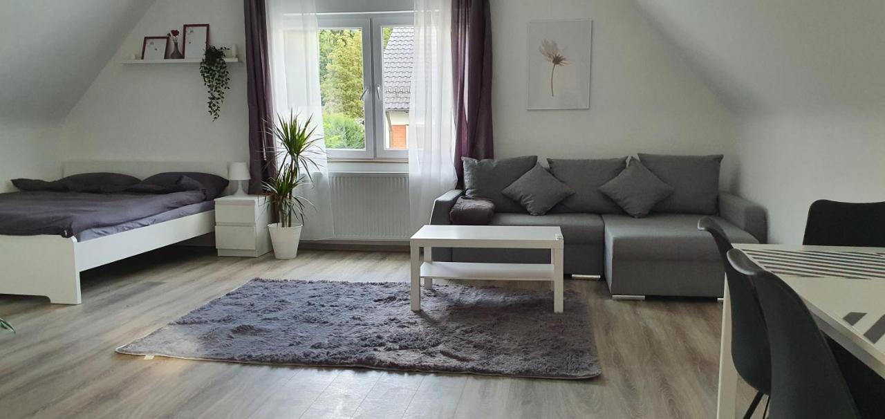 Bonn/Koenigswinter Ferienwohnung Buitenkant foto