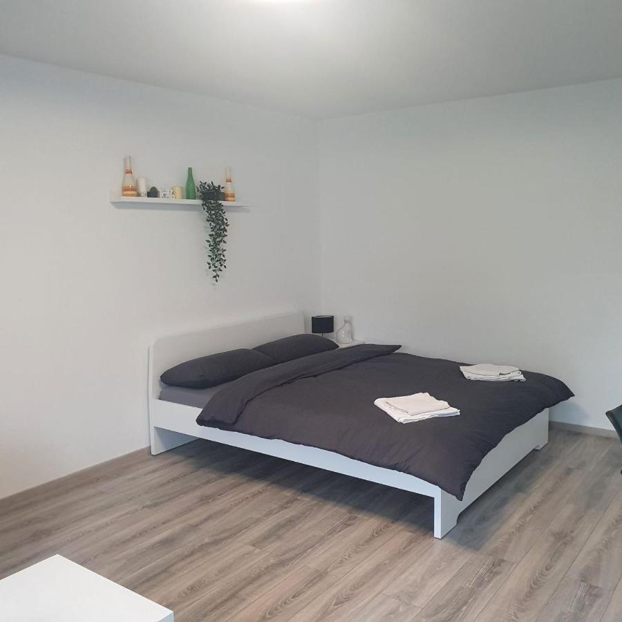 Bonn/Koenigswinter Ferienwohnung Buitenkant foto