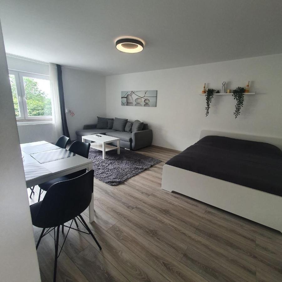 Bonn/Koenigswinter Ferienwohnung Buitenkant foto