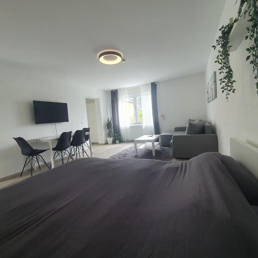 Bonn/Koenigswinter Ferienwohnung Buitenkant foto