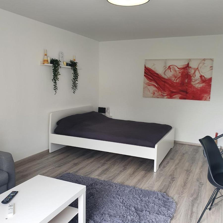 Bonn/Koenigswinter Ferienwohnung Buitenkant foto