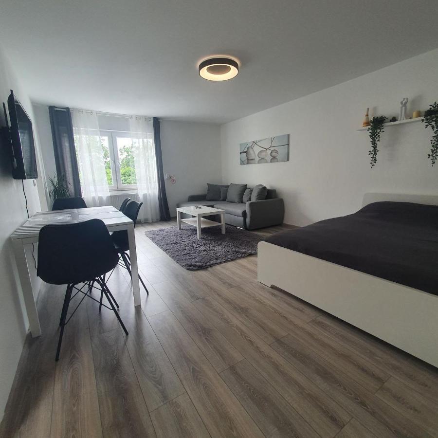 Bonn/Koenigswinter Ferienwohnung Buitenkant foto