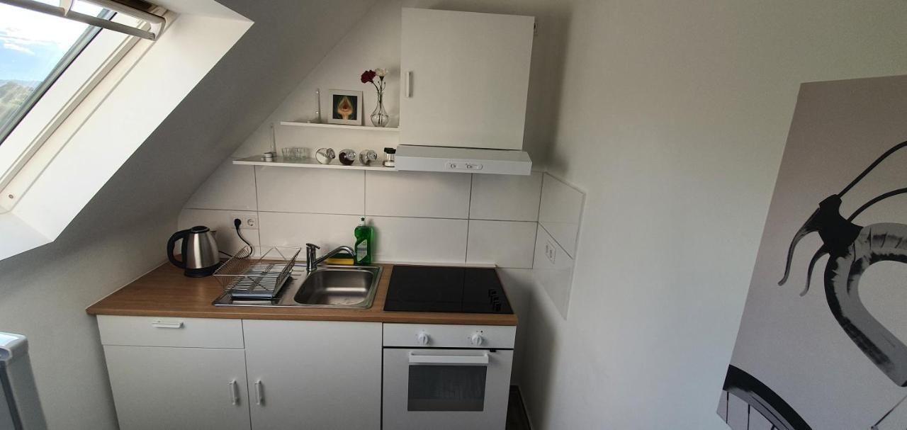 Bonn/Koenigswinter Ferienwohnung Buitenkant foto