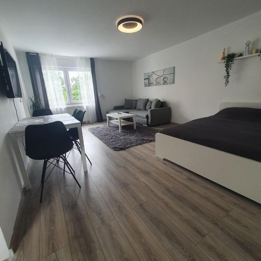 Bonn/Koenigswinter Ferienwohnung Buitenkant foto